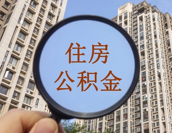 呼伦贝尔被单位开除多久可以取公积金（被开除后多久能取公积金）